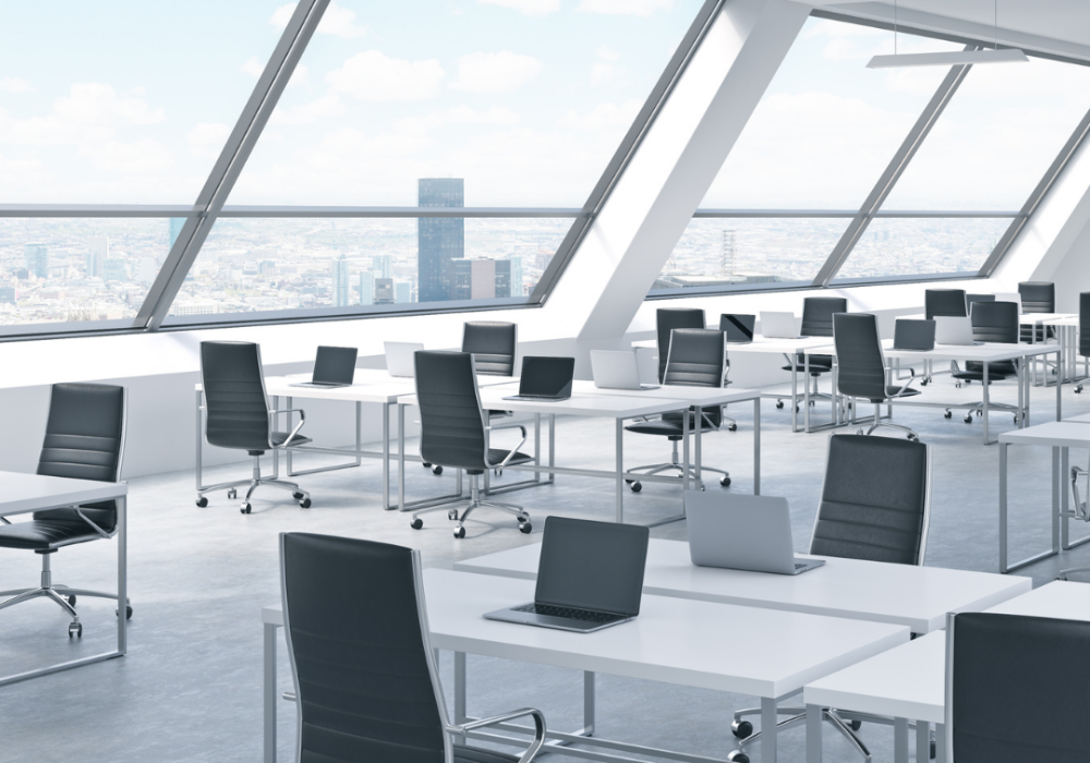 Gen Z in the Workforce: Shaping, Challenging, and Redefining the Future of Work